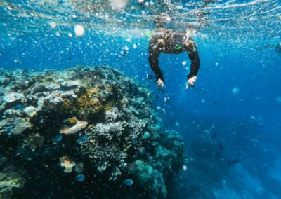 Students snorkeling on a coral reef in Australia