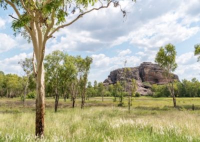 A rock outcropping in the Australian Outback