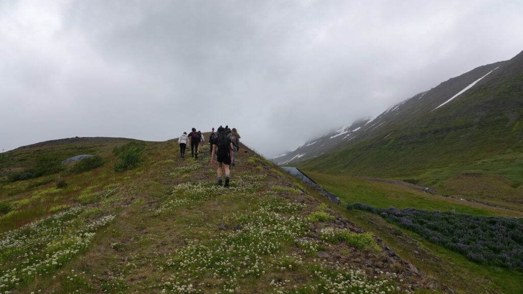 Students hiking green hill.