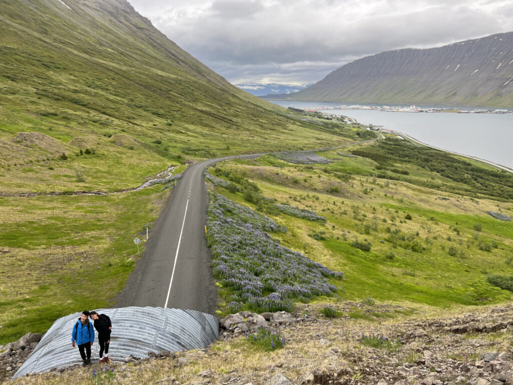 Students posing in front of road stretching through vibrant green grass.