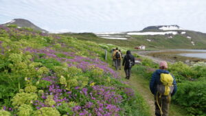 students hiking in green fields full of purple flowers