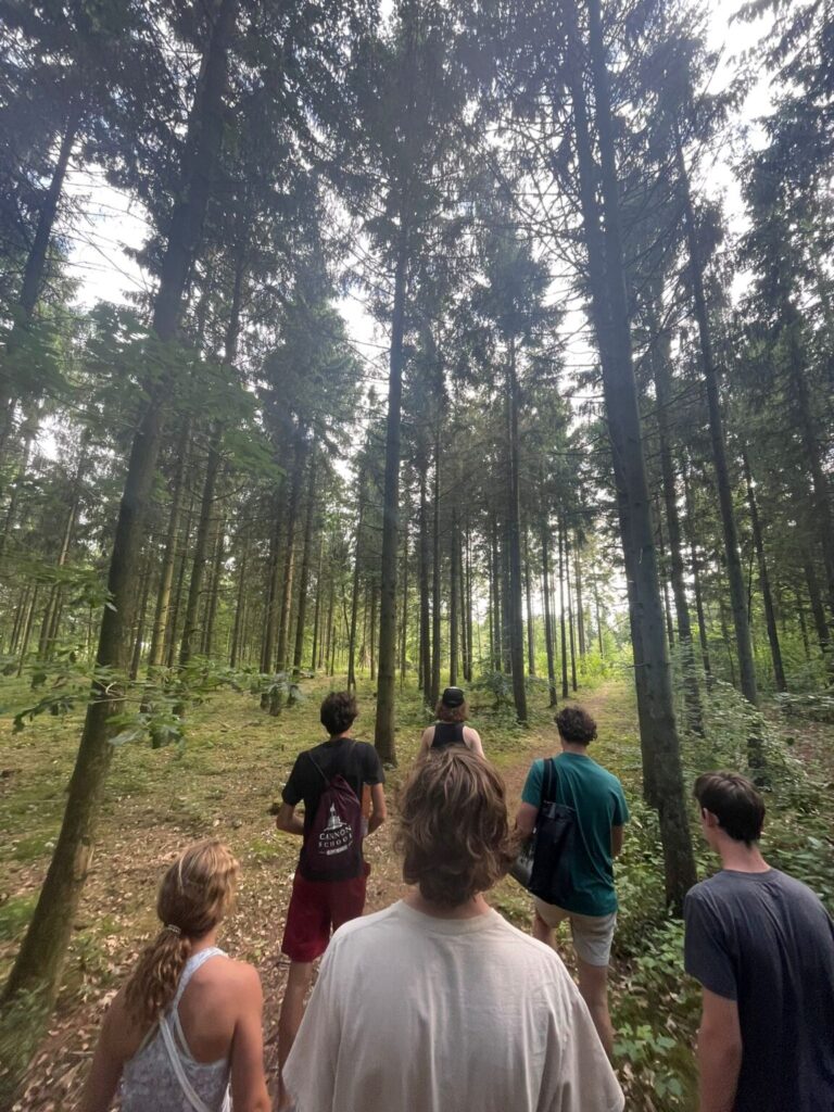 Group of students walking in forest.