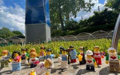 Highlight from New York & Denmark: Legoland