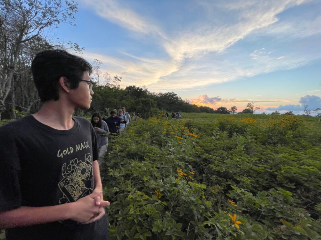 Boy looking over field of green.